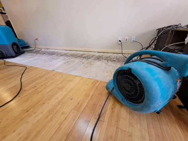 Professional Ceiling Water Damage Repair technician working in Clayton, GA